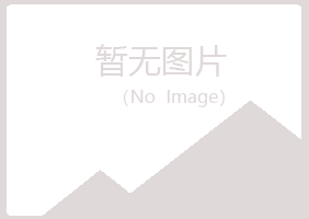 兴山区友易会计有限公司